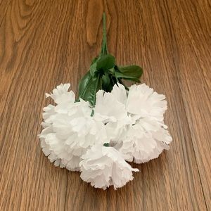 White carnation flowers